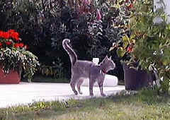 110.jpg (44288 Byte)