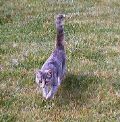 112.jpg (48976 Byte)