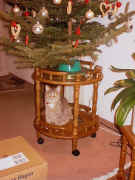 Komisch- vorige Woche war das noch nicht hier!