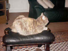 Warum nicht auch mal hier ...