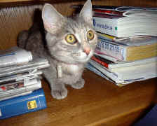 Wenn du mich anfasst kratz ich!