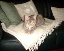 Mein zweitliebster Platz ...