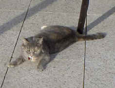 Hier lieg' ich auch gut...