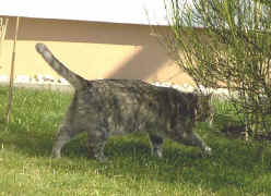 Wo leg' ich mich jetzt hin?