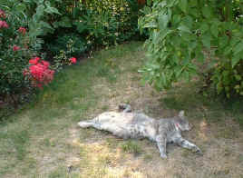 DSCF0002.JPG (104984 Byte)