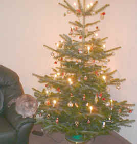 DSCF0008.JPG (42381 Byte)