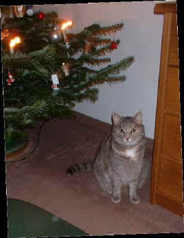 DSCF0009.JPG (42958 Byte)