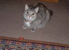 DSCF0013.JPG (70452 Byte)