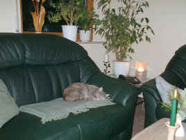 DSCF0014.JPG (68417 Byte)