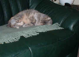 DSCF0015.JPG (67980 Byte)