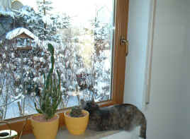 DSCF0016.JPG (82554 Byte)