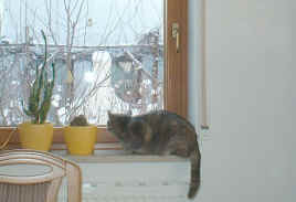 DSCF0017.JPG (53749 Byte)