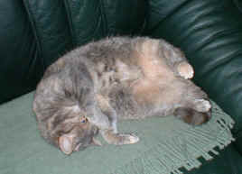 DSCF0024.jpg (72349 Byte)