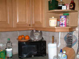 040410-1_small.jpg (8231 Byte)