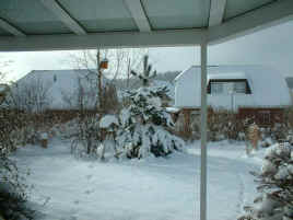 Winter.jpg (61944 Byte)