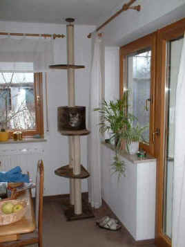 emmi-kratz_small.jpg (11510 Byte)