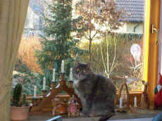 081229-Fernweh.jpg (96761 Byte)