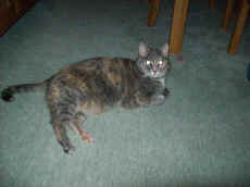 100_0242.jpg (71203 Byte)