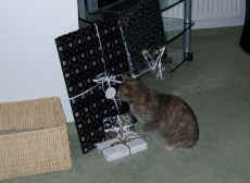 paket.jpg (71940 Byte)