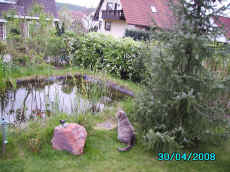 teich.jpg (130262 Byte)
