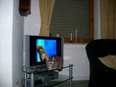 tv-emmi.jpg (46110 Byte)