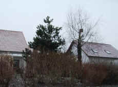 vogelhaus.jpg (42962 Byte)