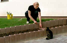 021_21A.JPG (53888 Byte)