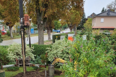 Brunnen-04