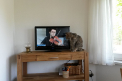 1_150808-Feierstunde-scaled