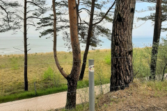 190520-Rueg_05