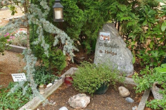 20220715_103144-Helga-rotated